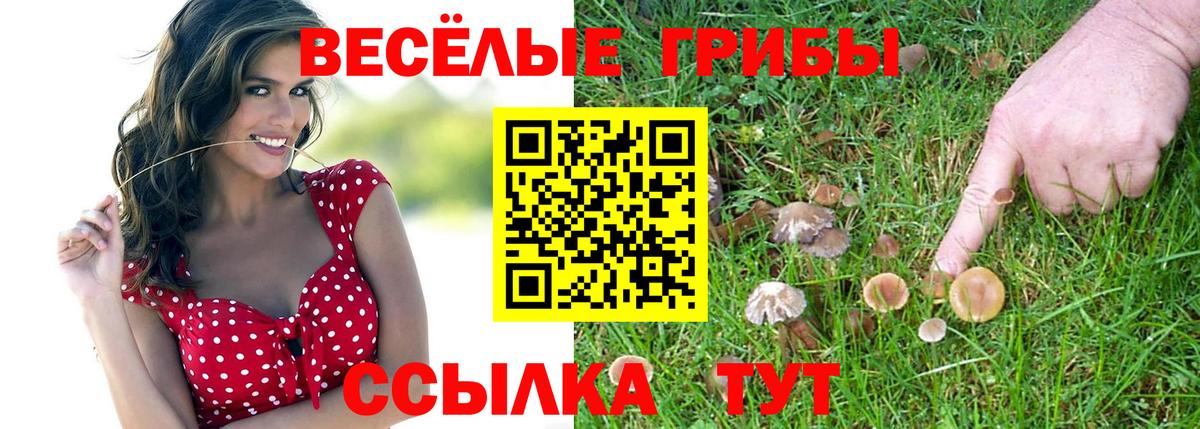 Псилоцибиновые грибы MAGIC MUSHROOMS  дарнет шоп  Похвистнево  Вход с VPN 